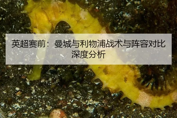 ying-chao-sai-qian-man-cheng-yu-li-wu-pu-zhan-shu-yu-zhen-rong-dui-bi-shen-du-fen-xi-2-314.jpg
